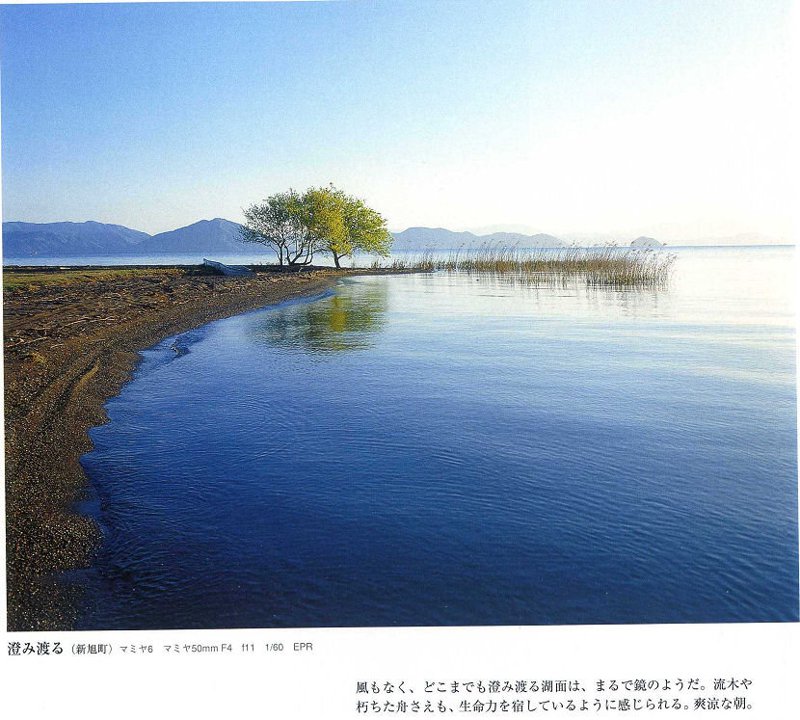 赞美一幅作品,如同在心中描绘出最绚烂的画卷。今天,就让我们一起走进那些令人赞叹的摄影作品背后的故事。